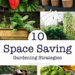Space-efficient Wildflower Planting Strategies