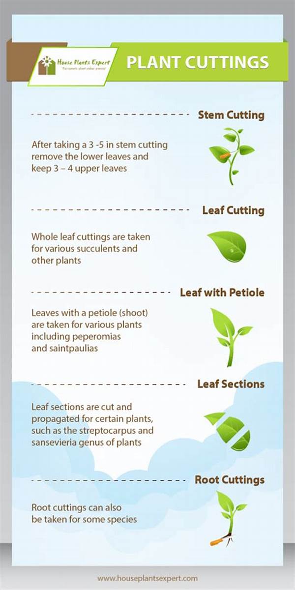 Step-by-step Stem Cutting Guide