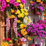 Summer Vibrant Flower Displays
