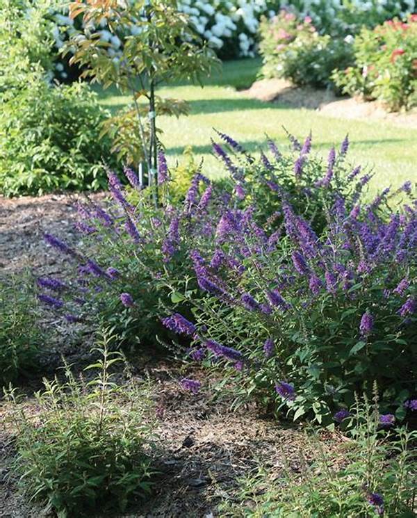 Sweet-smelling Flora For Outdoor Spaces