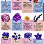 Symbolic Interpretations Of Flower Bouquets