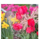 Teaching Plant Watering Techniques