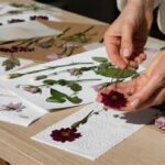 Techniques For Drying And Framing Flowers