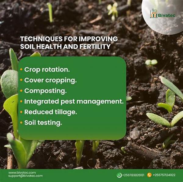 Techniques For Improving Soil Fertility