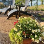Thrifty Flower Buying Tips