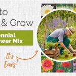 Tips For Mixing Perennials Creatively