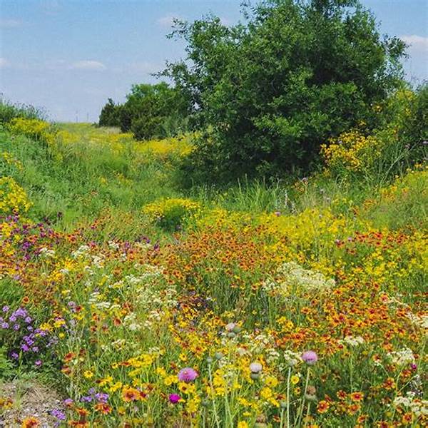 Tools For Discovering Wildflowers Outdoors