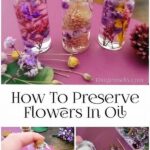 Tools Needed For Preserving Flowers
