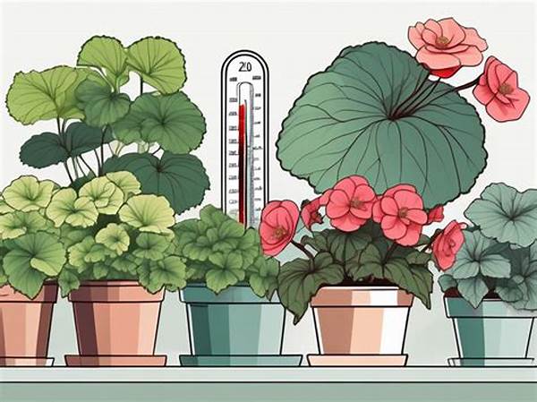 Understanding Temperature Needs Of Flowers