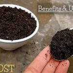 Benefits Of Compost For Flowers