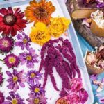 Best Methods For Flower Preservation