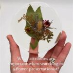 Best Methods For Petal Preservation