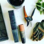 Cat-safe Gardening Solutions