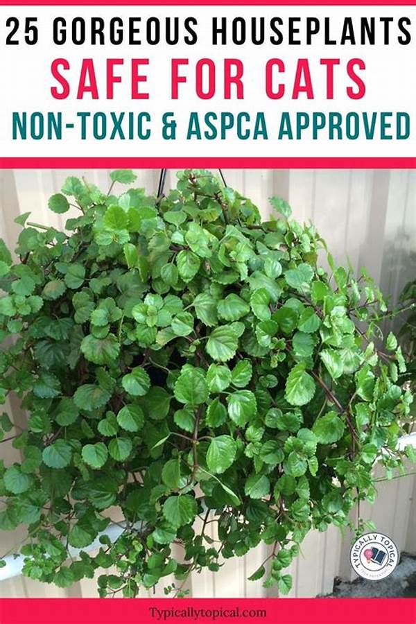Cat-safe Greenery For Homes