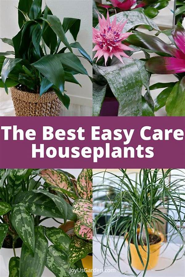 Child-safe Easy-care Houseplants
