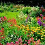 Colorful Spring Flower Gardens
