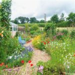 Compact Wildflower Garden Design