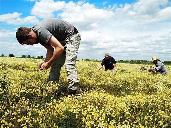 Comprehensive Wildflower Research Materials