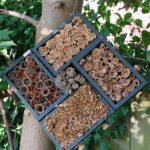 Creating Insect Habitats Garden