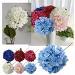 Discounted Flower Service Deals
