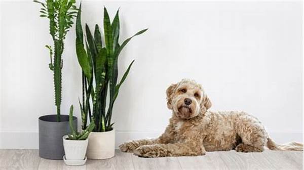 Dog-friendly Indoor Plant Options