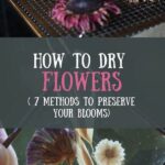 Easy Methods To Preserve Blooms