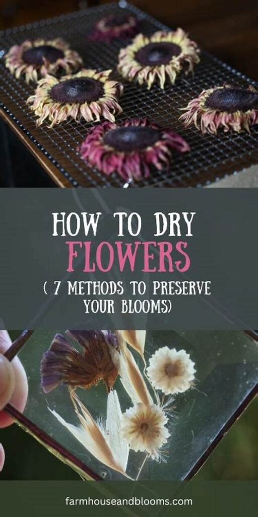 Easy Methods To Preserve Blooms