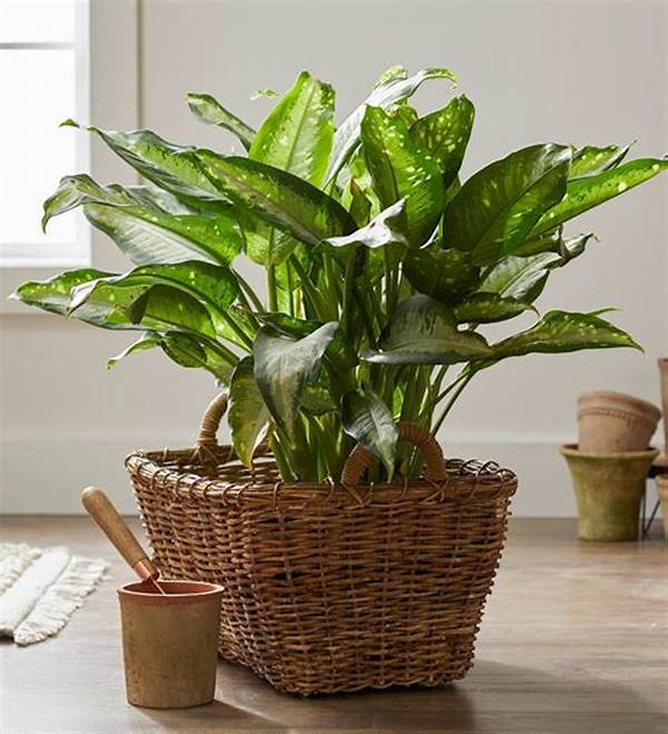 Easy-to-grow Family Houseplants