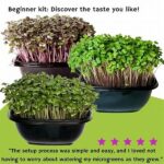 Easy-to-grow Plants For Starters