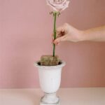 Eco-friendly Flower Transport Containers