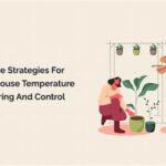 Effective Temperature Strategies For Flower Care