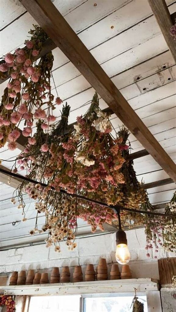 “efficient Flower Drying Techniques”