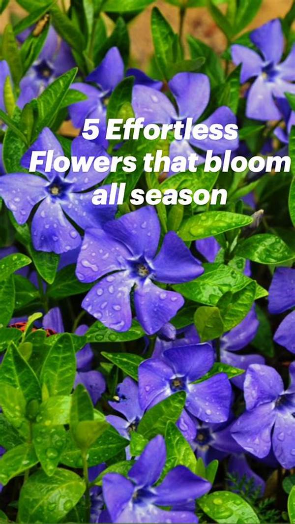 Effortless Flowering Plants For Starters