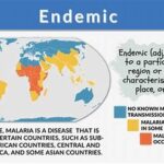 Endemic Wildflower Species Distribution Areas