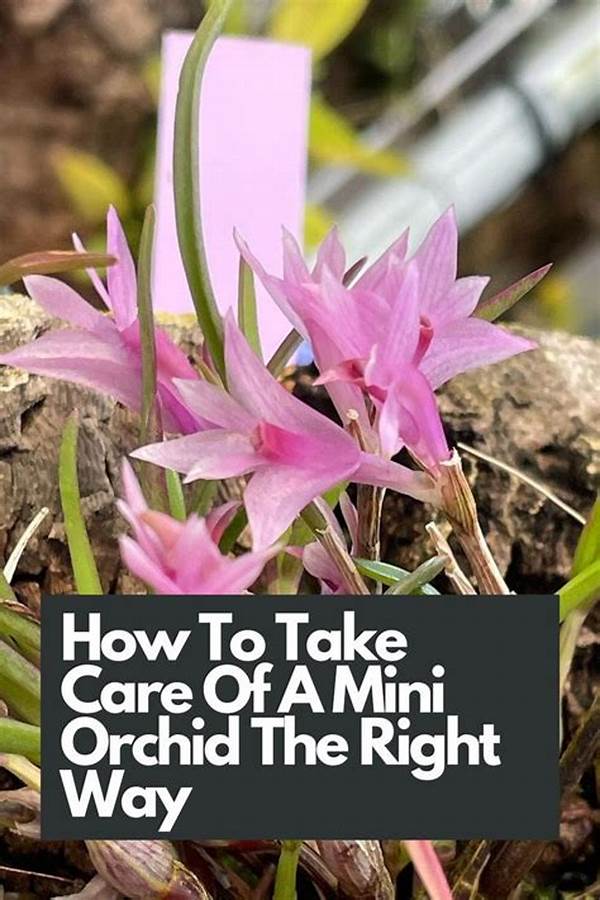 Enhancing Flower Longevity Tips