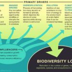 Environmental Impact On Biodiversity