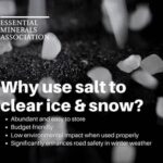 Essential Minerals For Winter Flowers