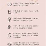 Essential Steps For Flower Bouquet Care