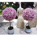 Green-certified Flower Suppliers