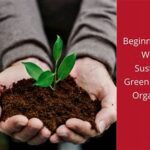 Green Practices For Maintaining Floral Vitality