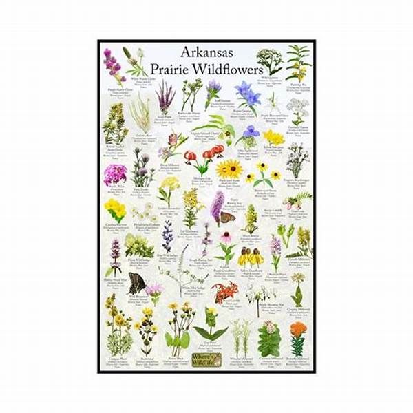 “guide To Wildflower Species Recognition”