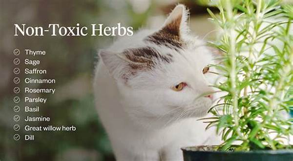 Herbs Non-toxic To Cats