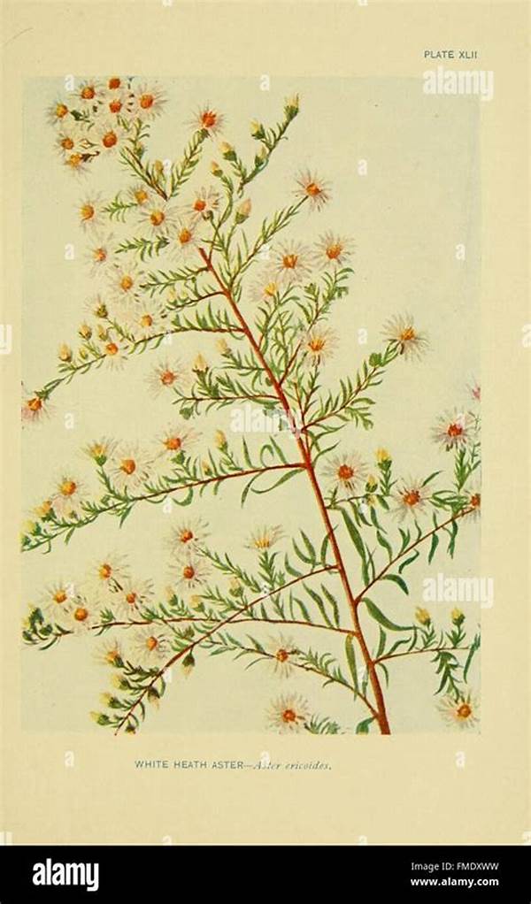 “identifying Common Wildflower Species”