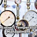 Incorrect Bouquet Temperature Management