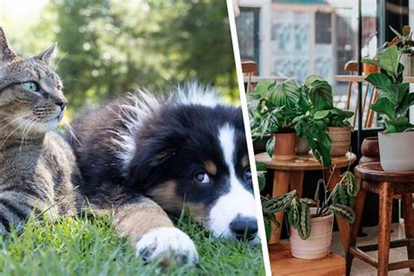Indoor Plants For Households With Pets