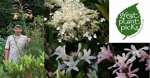 Intense Scent Garden Plant Picks
