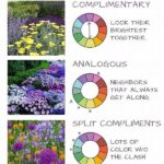 Kid-approved Colorful Garden Flower Choices