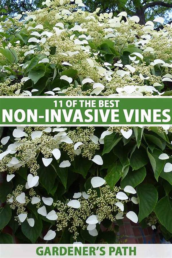 Low Maintenance Flowering Vines