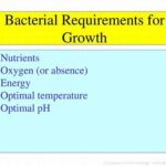 Nutrient Requirements For Optimal Growth