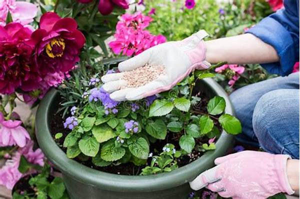 Organic Fertilizing Methods For Flowers